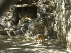 2006-04-08 14-53-35.JPG